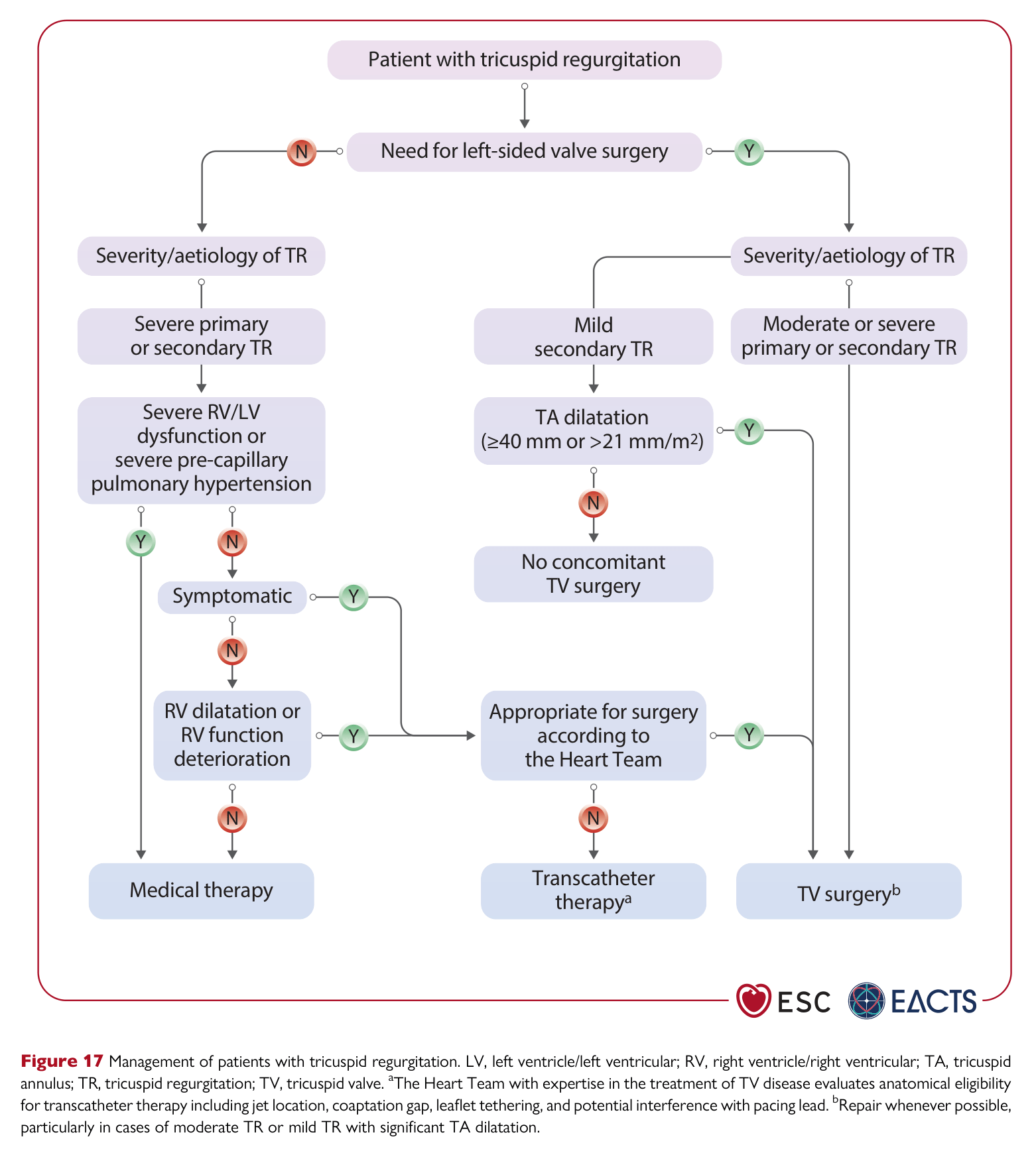 ESC VHD 2025 — Figure 17
