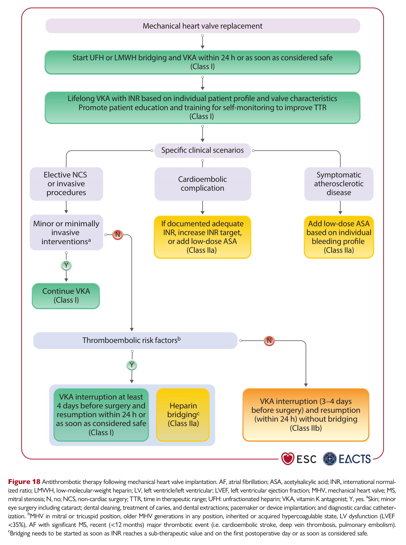 ESC VHD 2025 — Figure 18