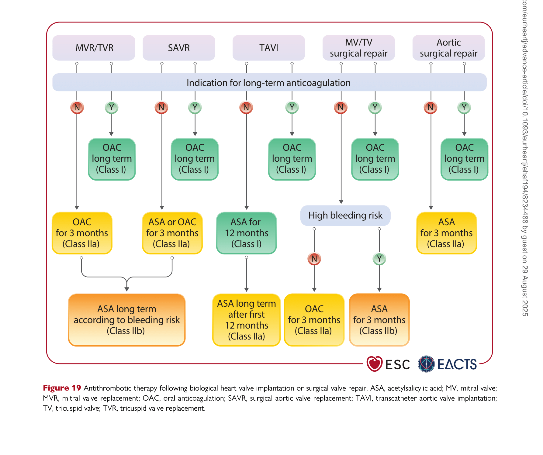 ESC VHD 2025 — Figure 19