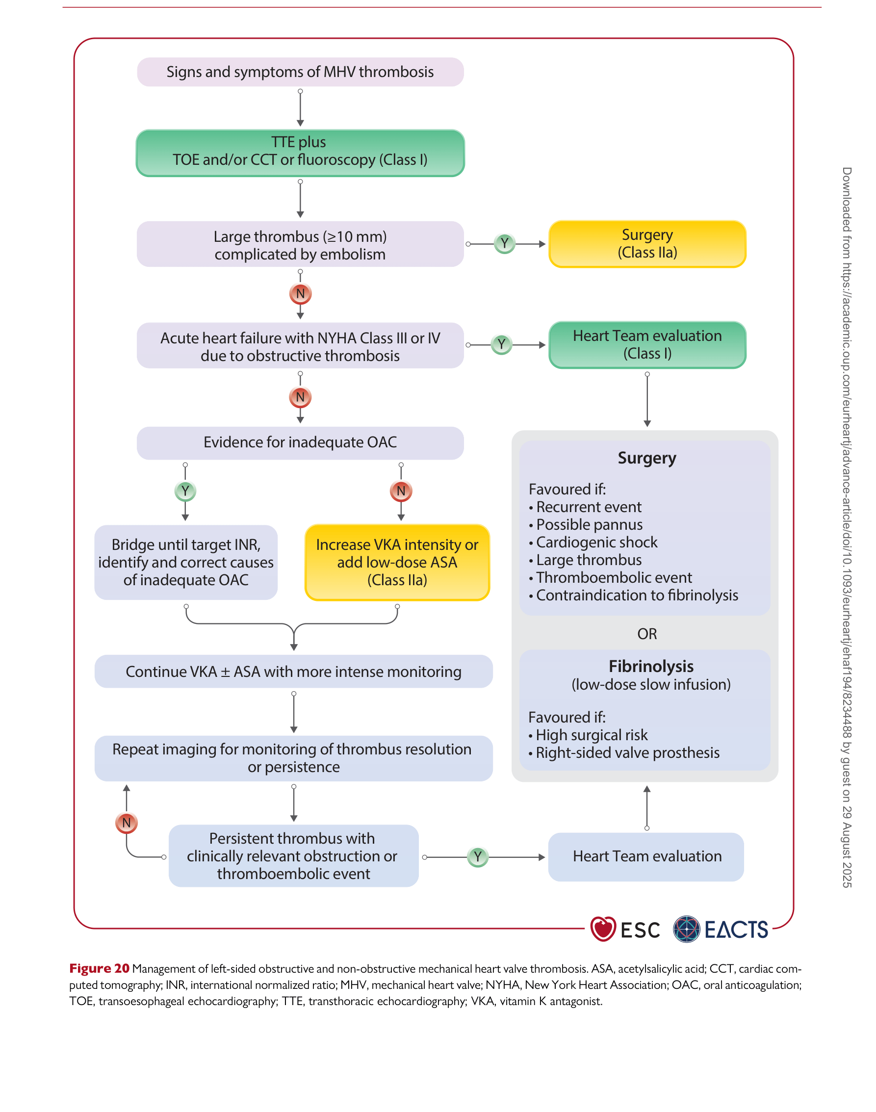 ESC VHD 2025 — Figure 20