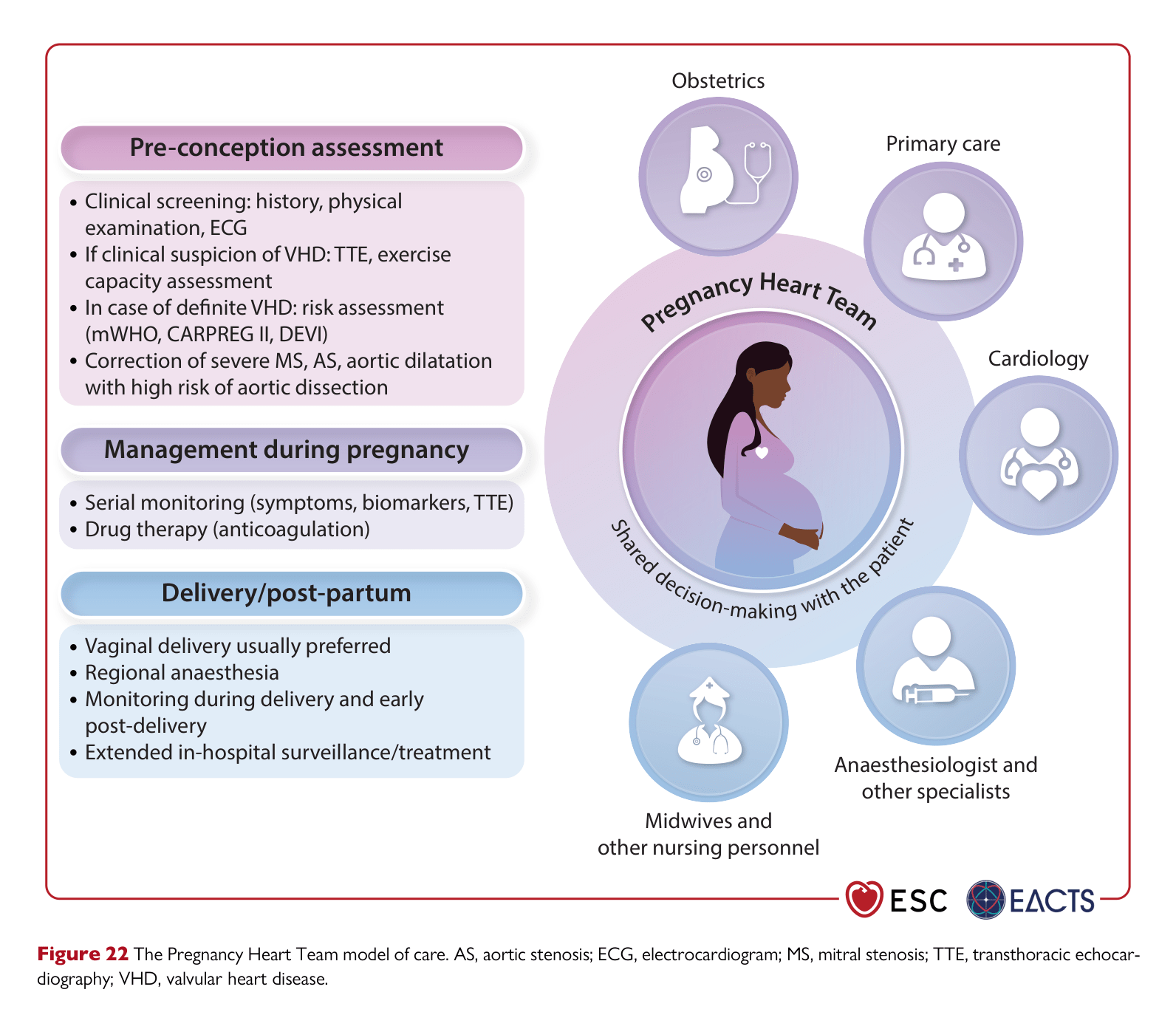 ESC VHD 2025 — Figure 22