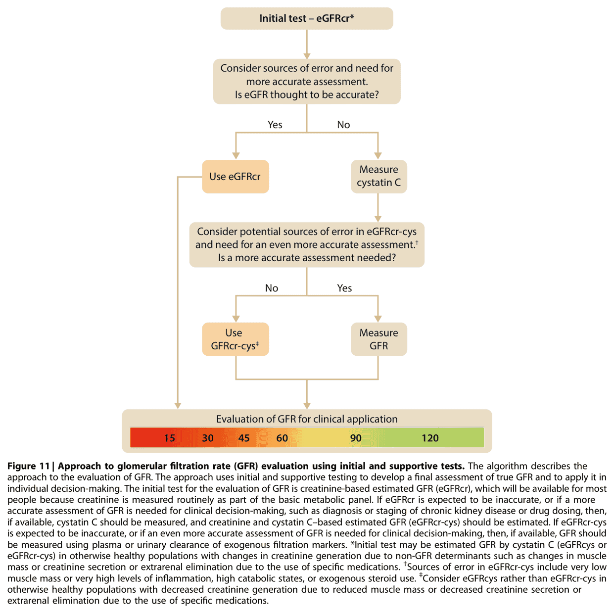 KDIGO ckd2024 — Figure 11