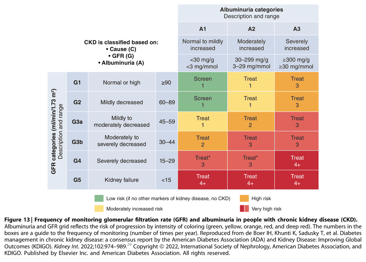 KDIGO ckd2024 — Figure 13
