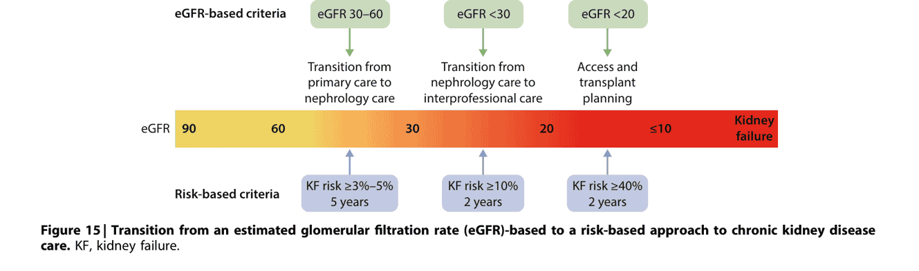KDIGO ckd2024 — Figure 15