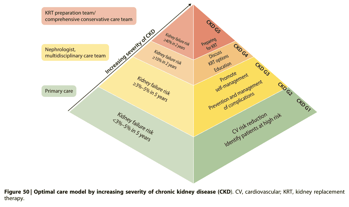 KDIGO ckd2024 — Figure 50