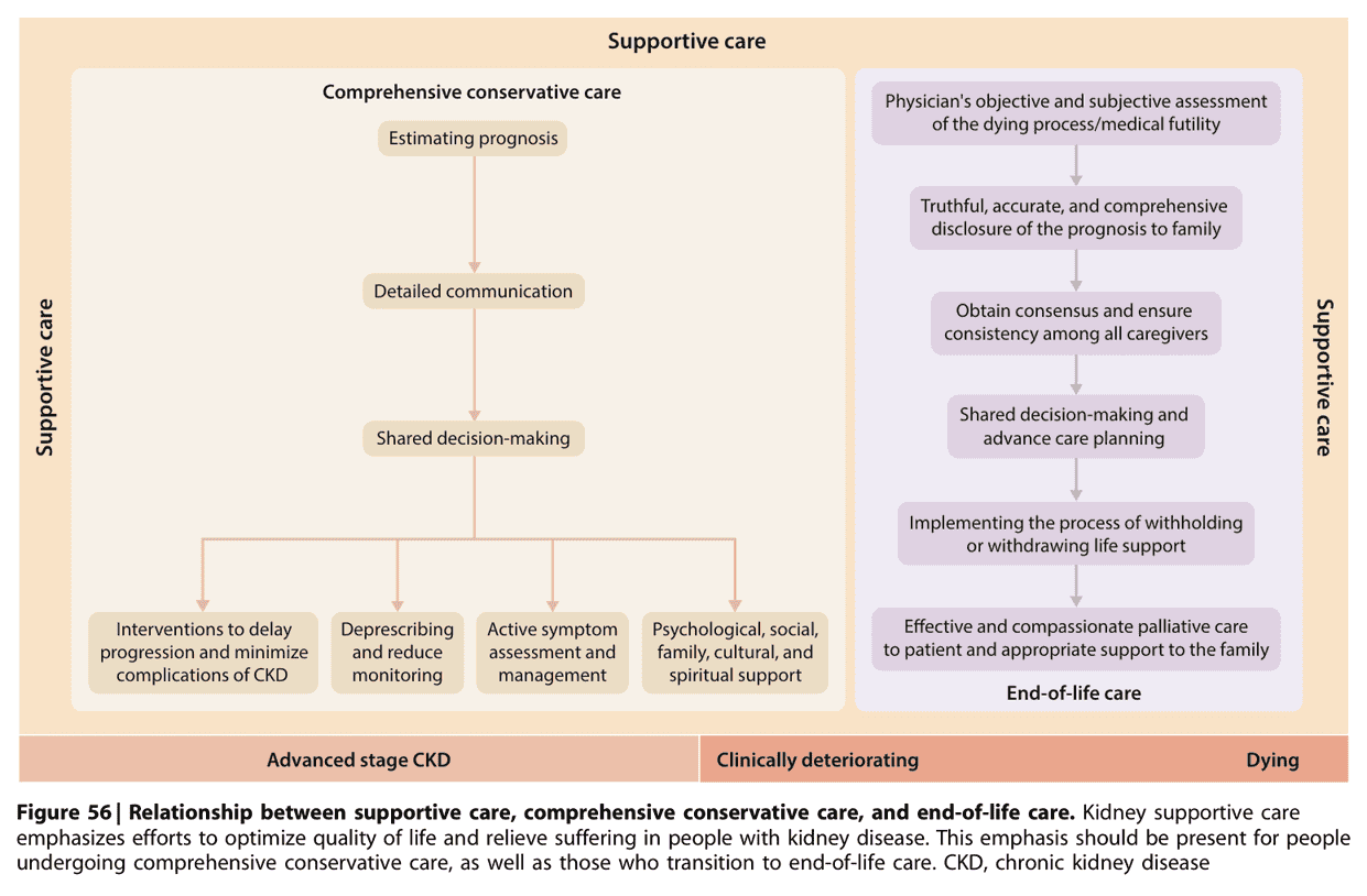 KDIGO ckd2024 — Figure 56