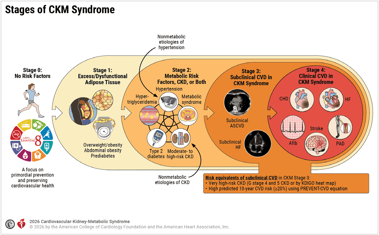 CKM 2026 — Figure 1 Stages of CKM Syndrome