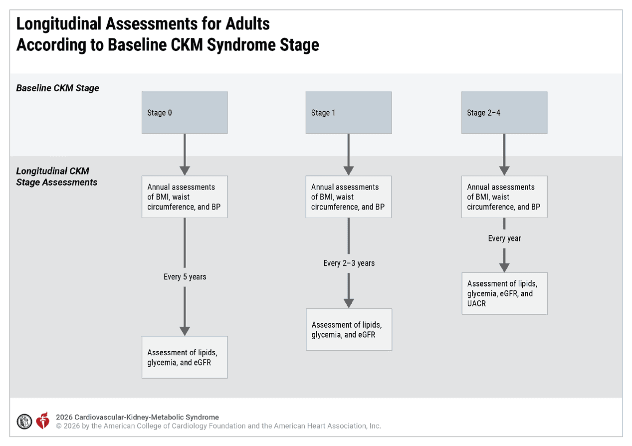 CKM 2026 — Figure 3 Longitudinal Assessments