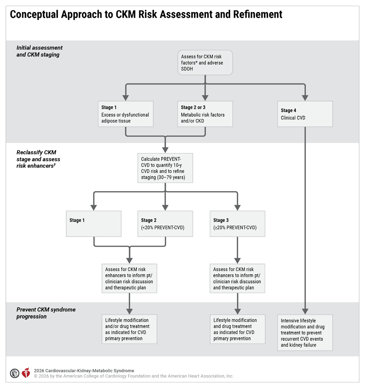 CKM 2026 — Figure 4 Risk Assessment and Refinement