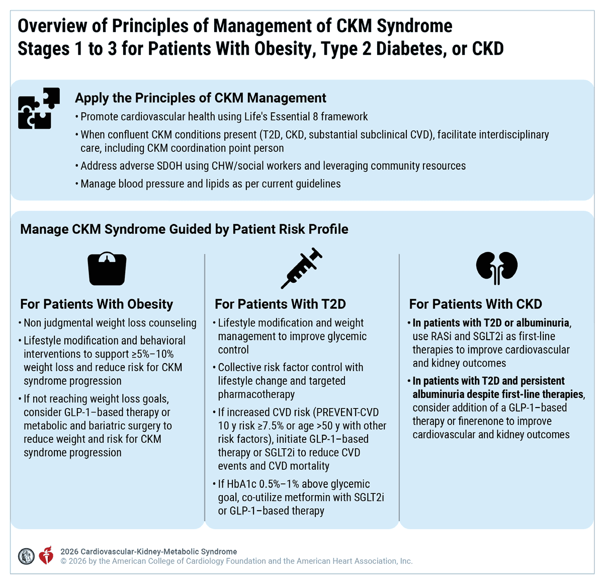 CKM 2026 — Figure 6 Overview Stage 1-3