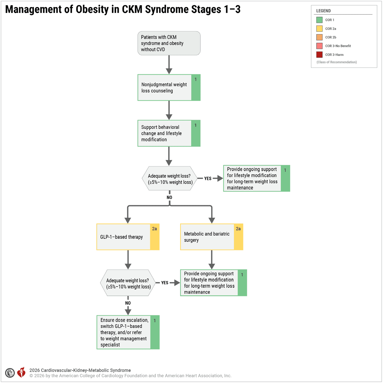 CKM 2026 — Figure 7 Obesity Management