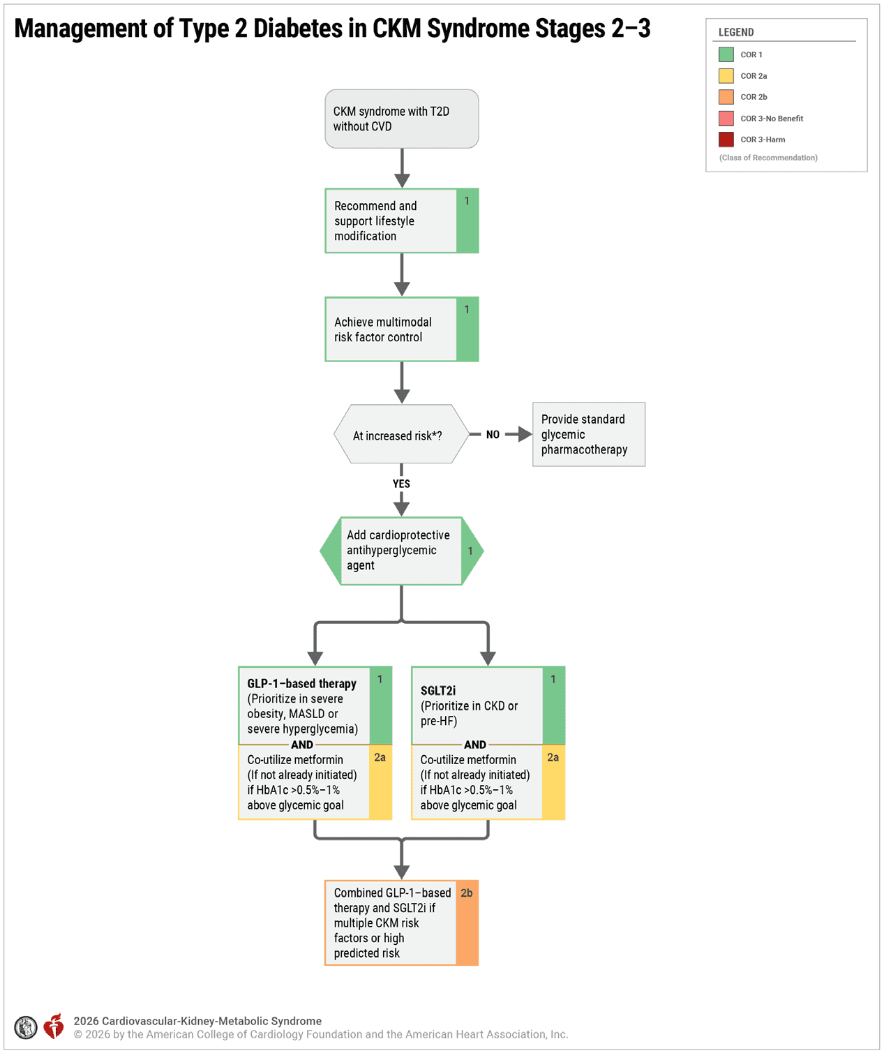 CKM 2026 — Figure 8 T2D Management