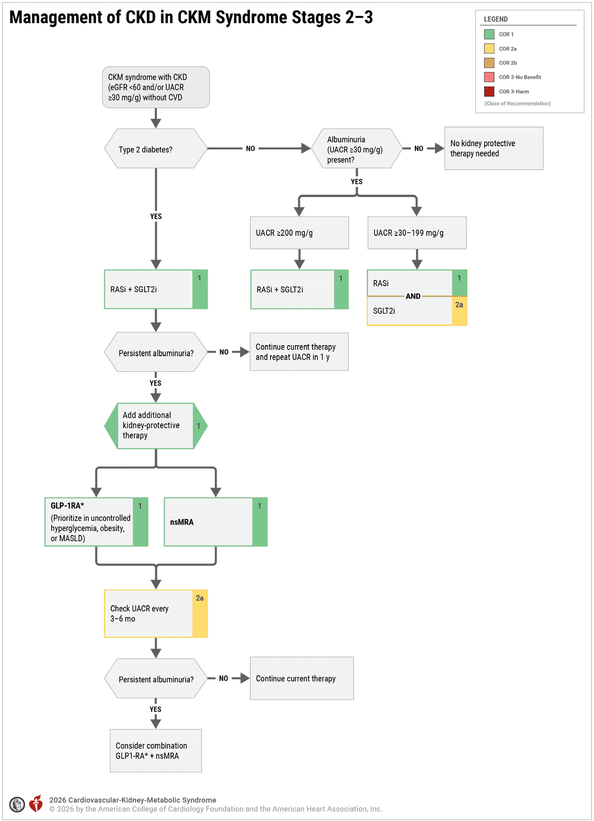 CKM 2026 — Figure 9 CKD Management