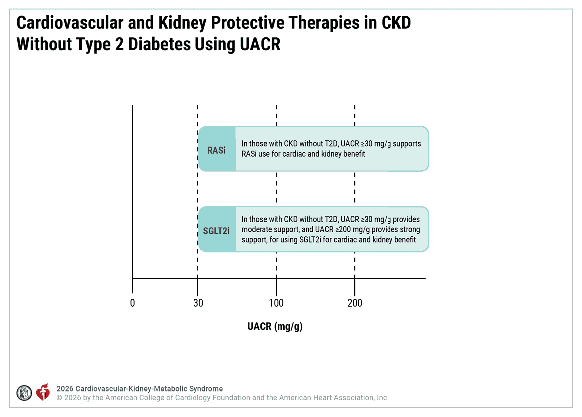 CKM 2026 — Figure 10 CKD without T2D