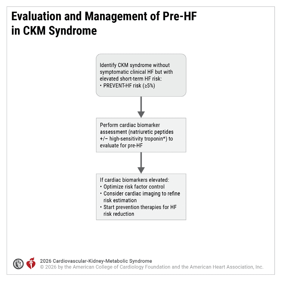 CKM 2026 — Figure 12 Pre-HF