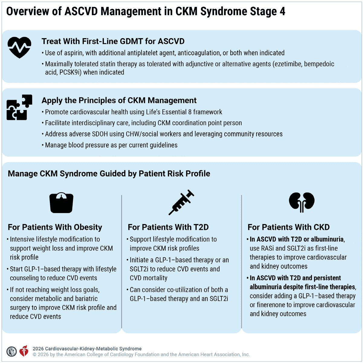 CKM 2026 — Figure 13 ASCVD overview