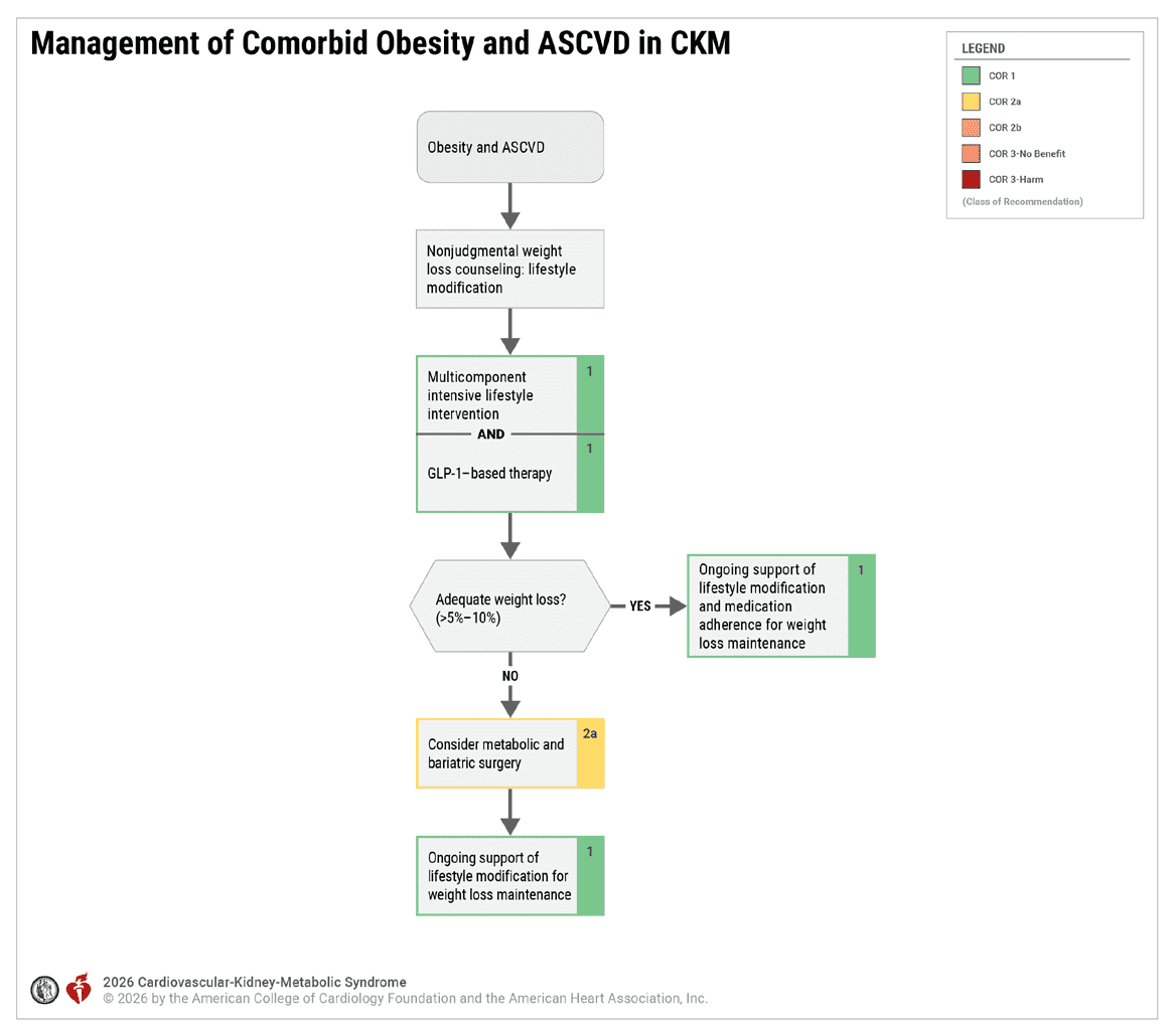 CKM 2026 — Figure 14 Obesity and ASCVD
