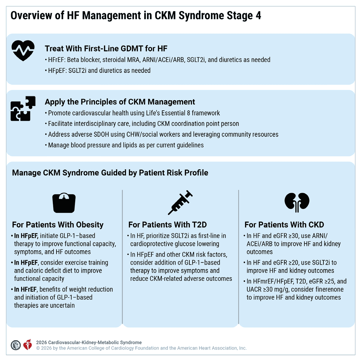CKM 2026 — Figure 17 HF overview