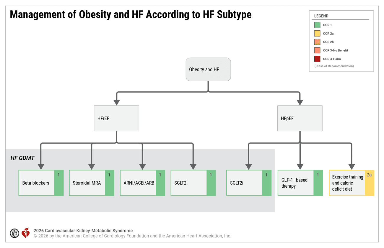 CKM 2026 — Figure 18 Obesity and HF by subtype