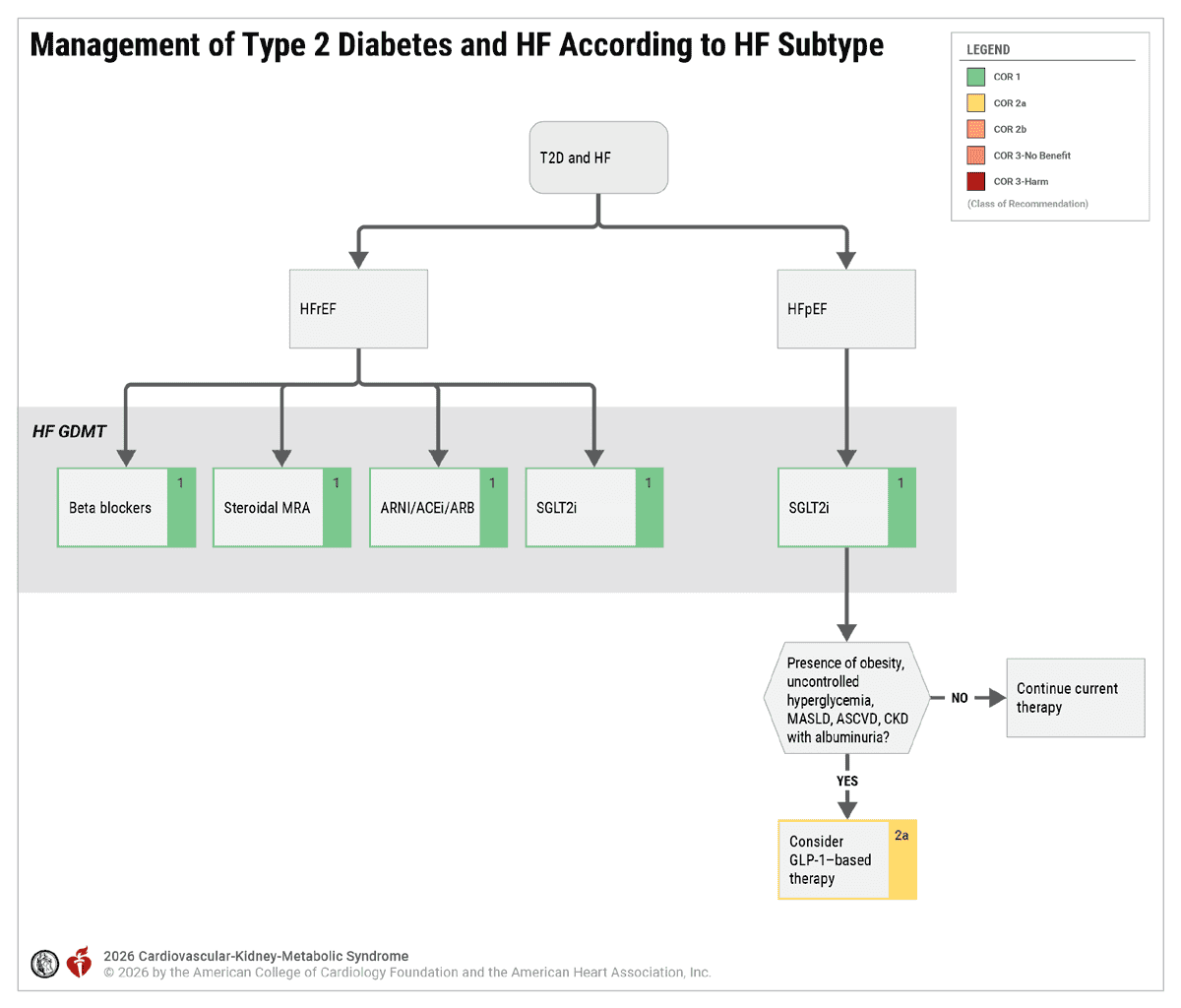 CKM 2026 — Figure 19 T2D and HF by subtype