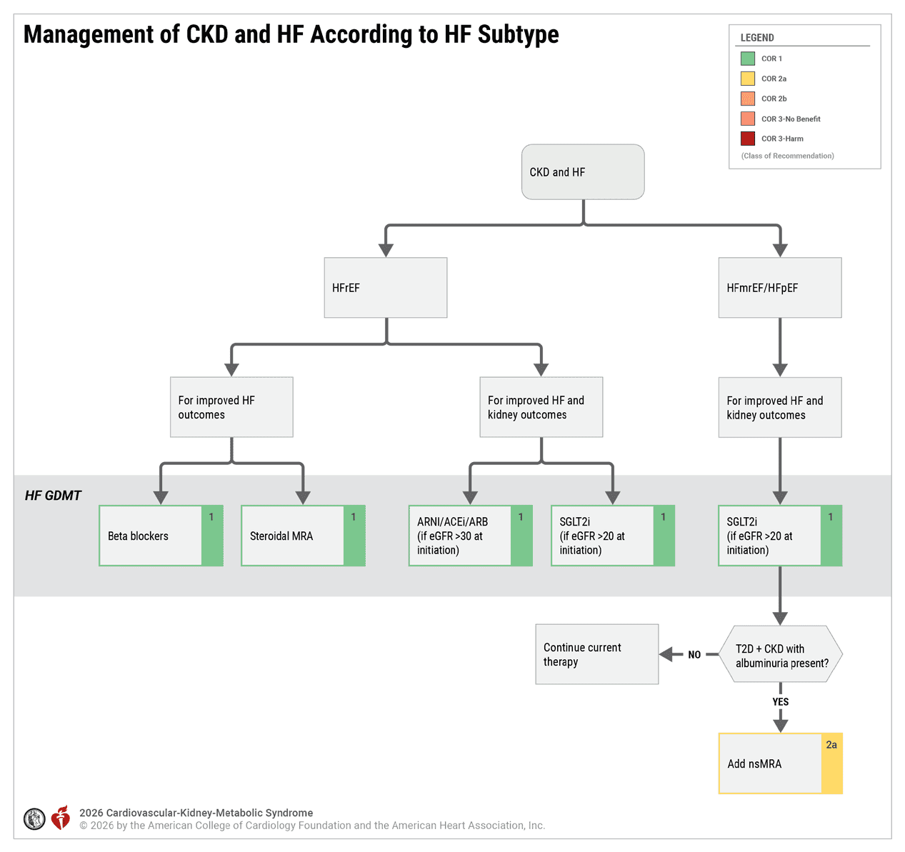 CKM 2026 — Figure 20 CKD and HF by subtype
