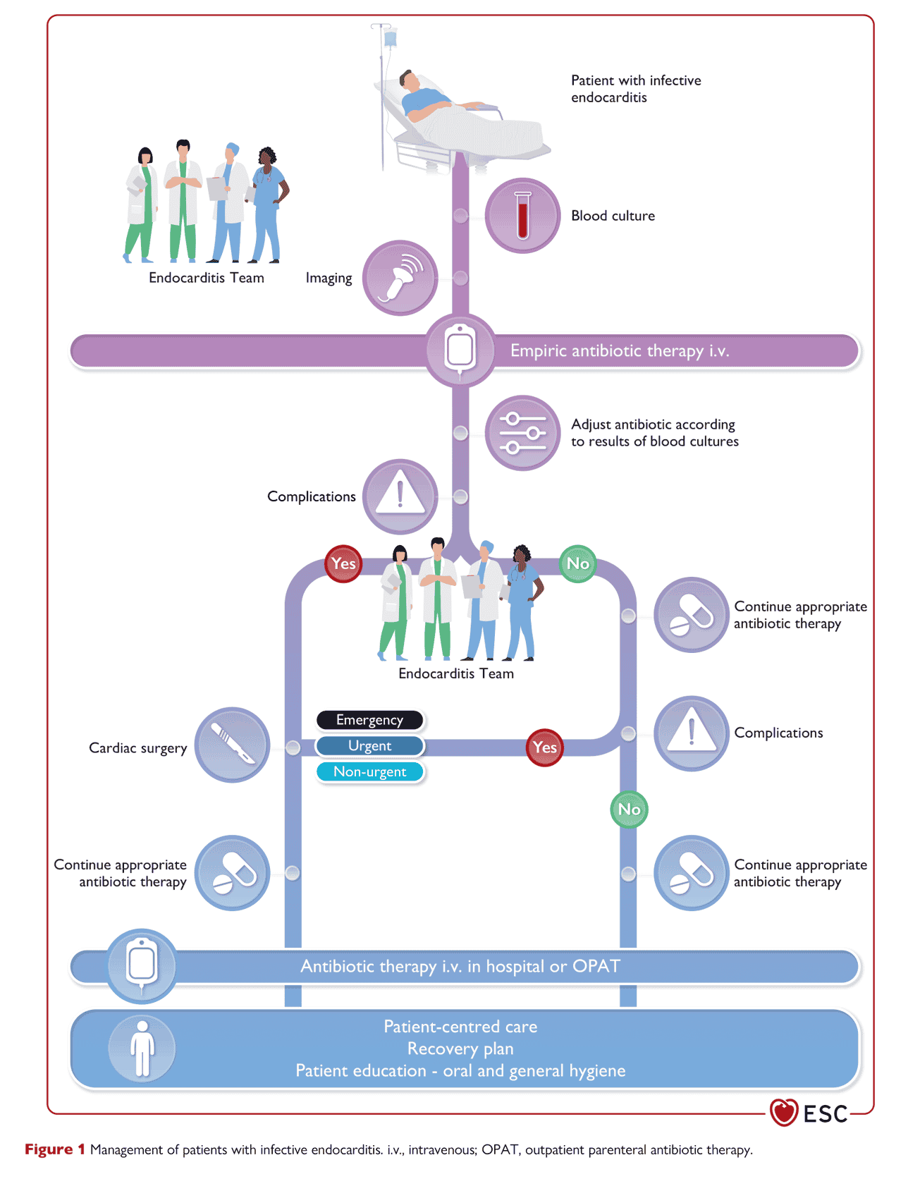ESC endocarditis2023 — Figure 1