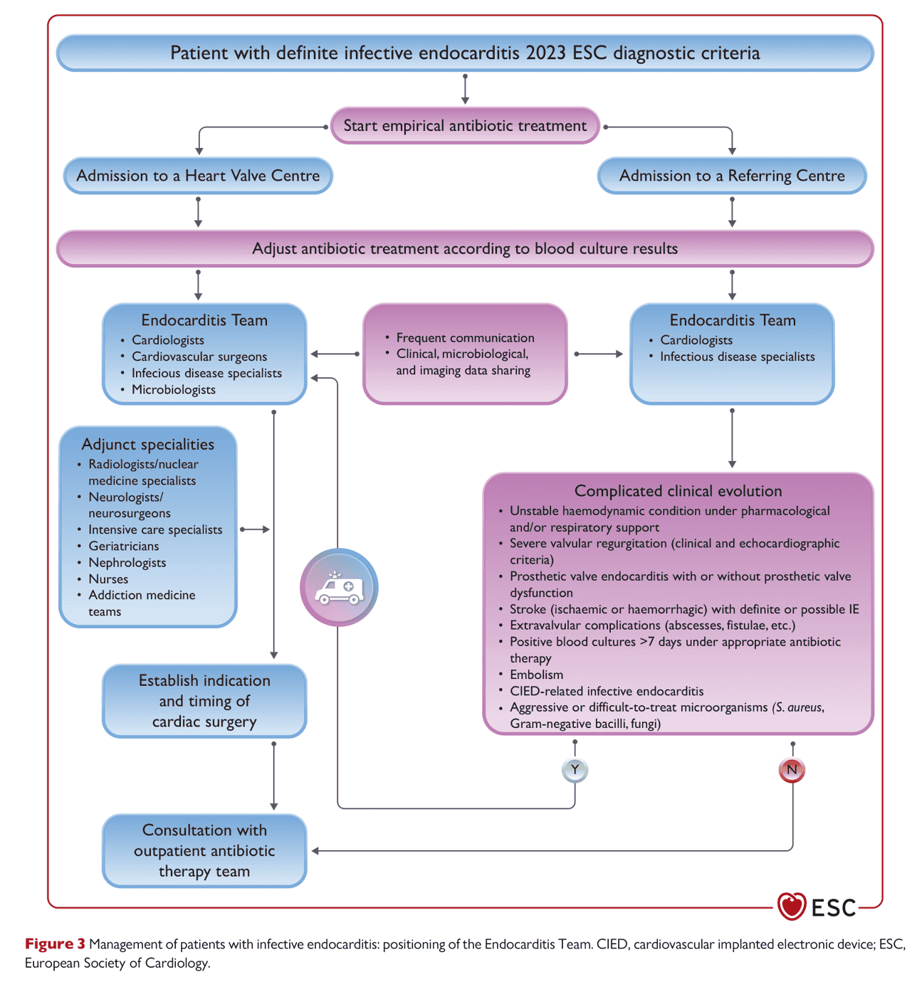 ESC endocarditis2023 — Figure 3