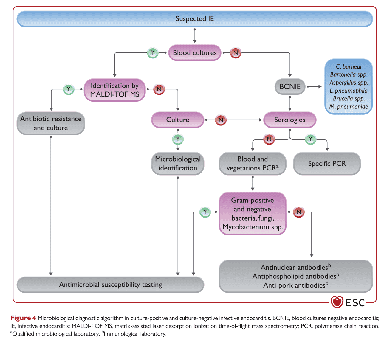 ESC endocarditis2023 — Figure 4