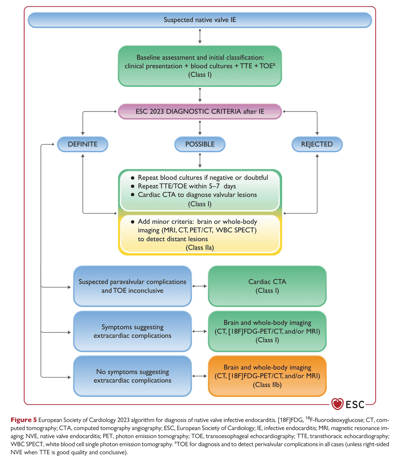 ESC endocarditis2023 — Figure 5