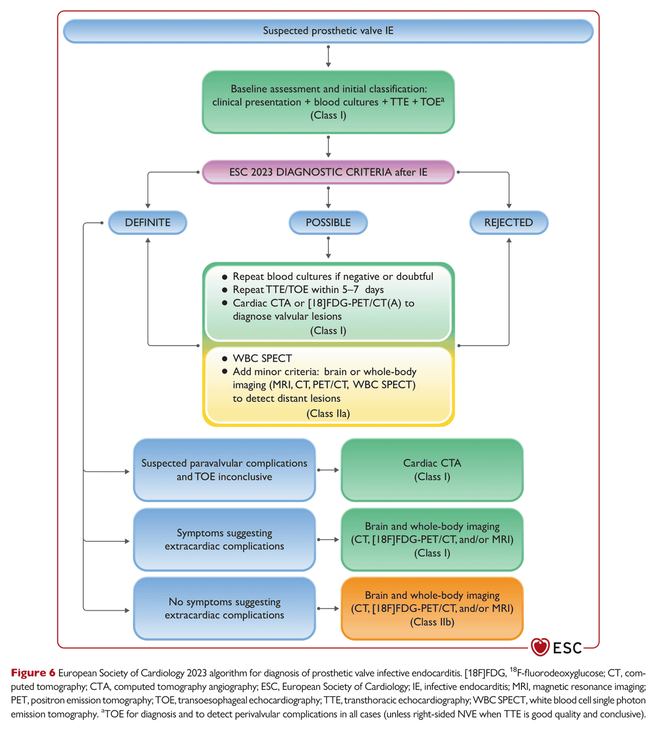 ESC endocarditis2023 — Figure 6