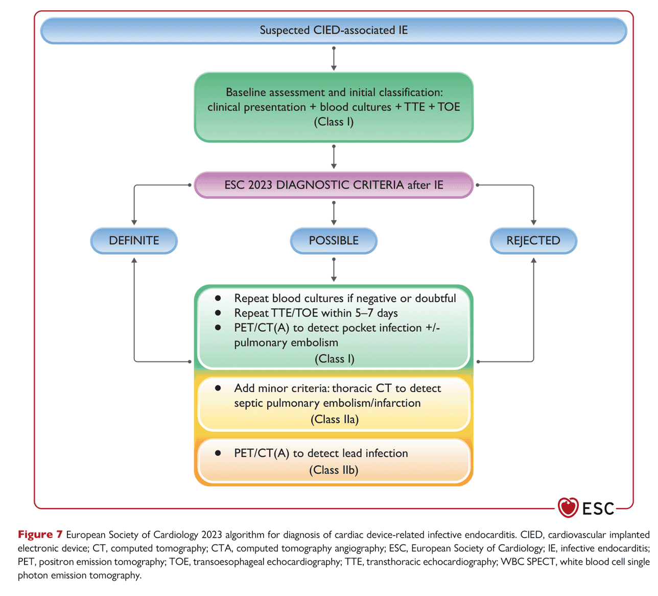 ESC endocarditis2023 — Figure 7