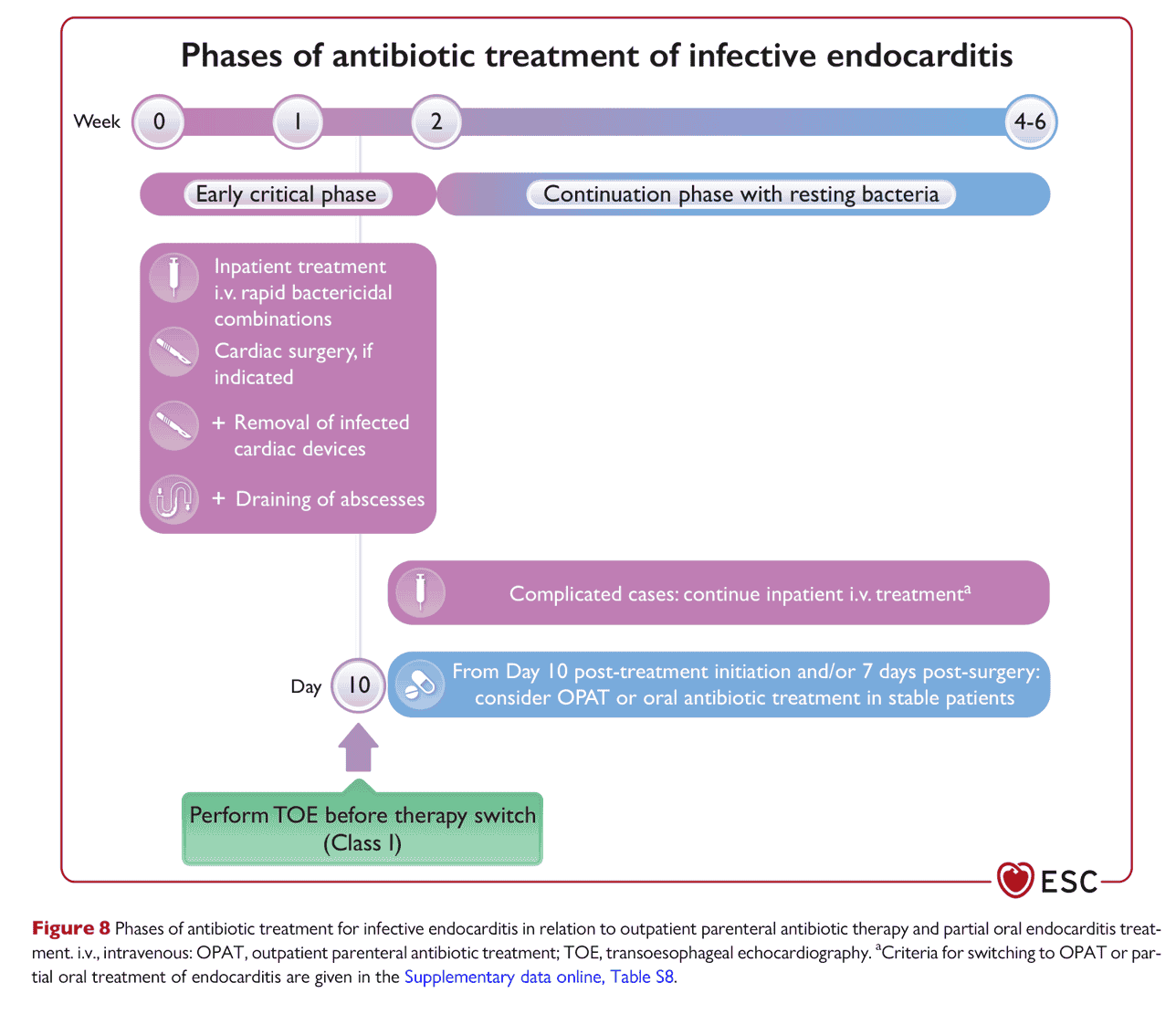 ESC endocarditis2023 — Figure 8