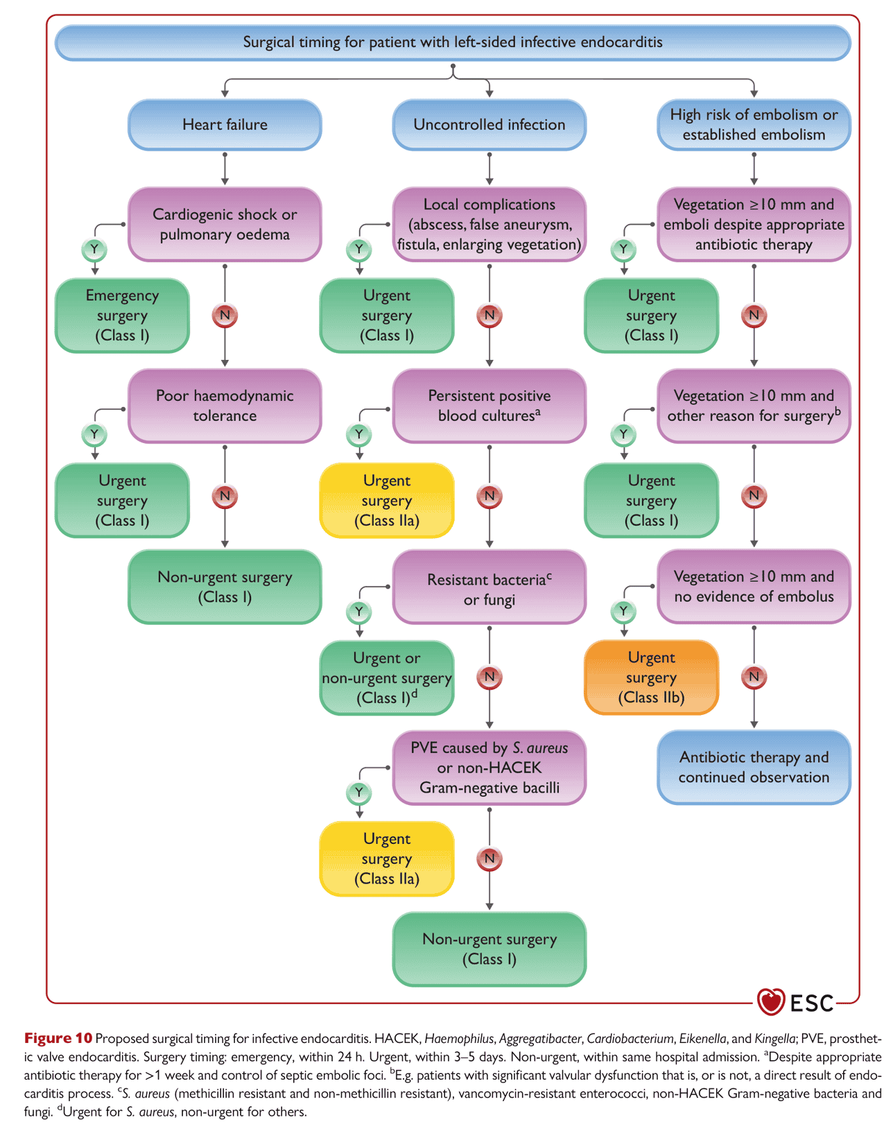 ESC endocarditis2023 — Figure 10
