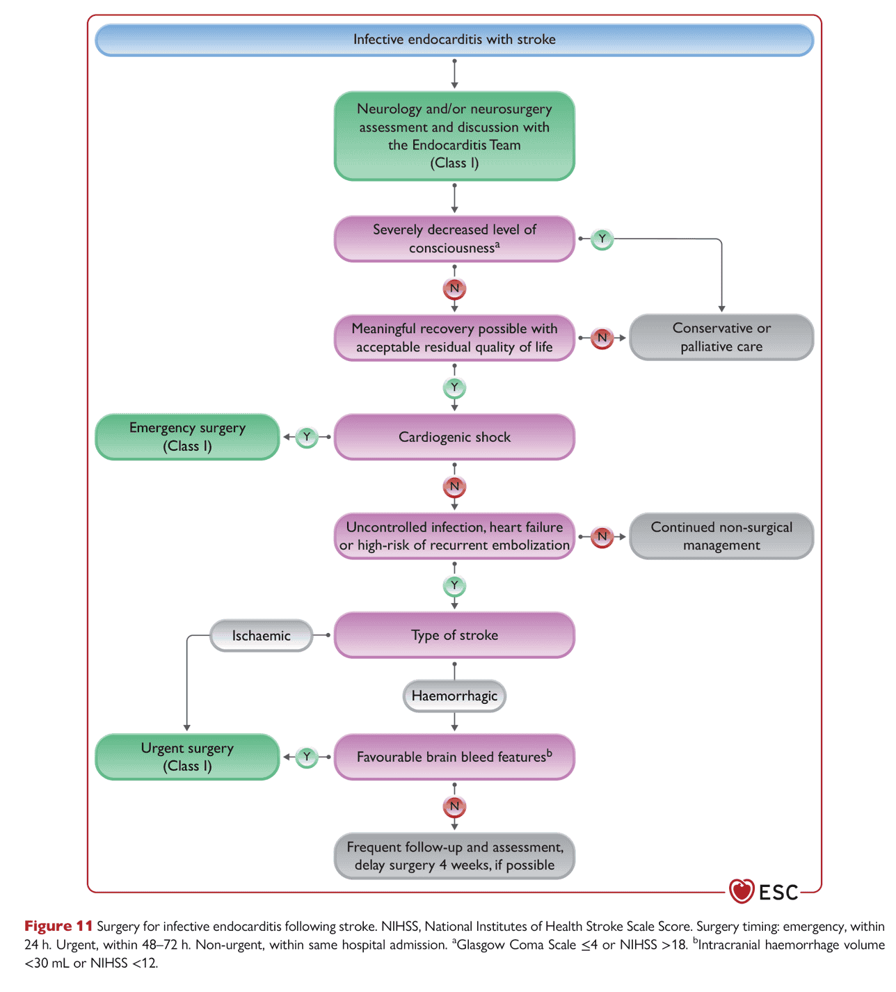 ESC endocarditis2023 — Figure 11