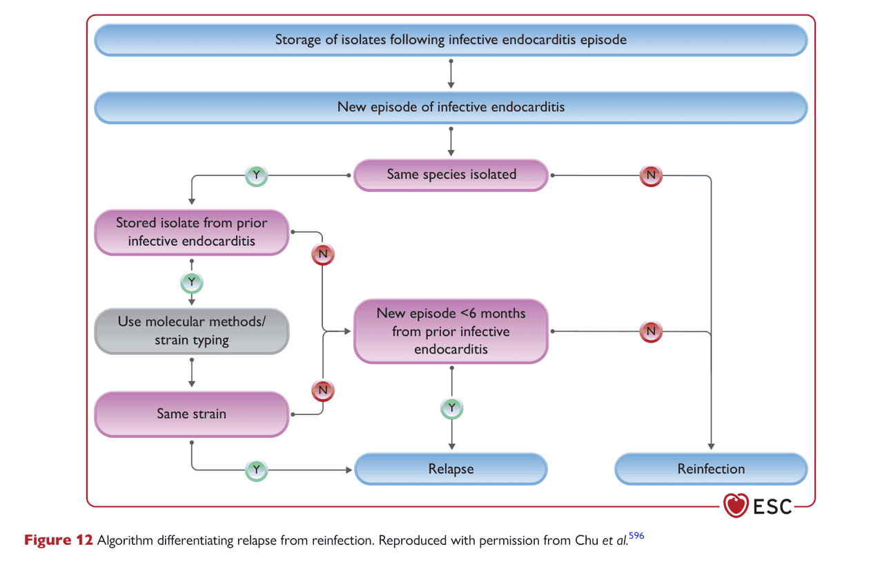 ESC endocarditis2023 — Figure 12
