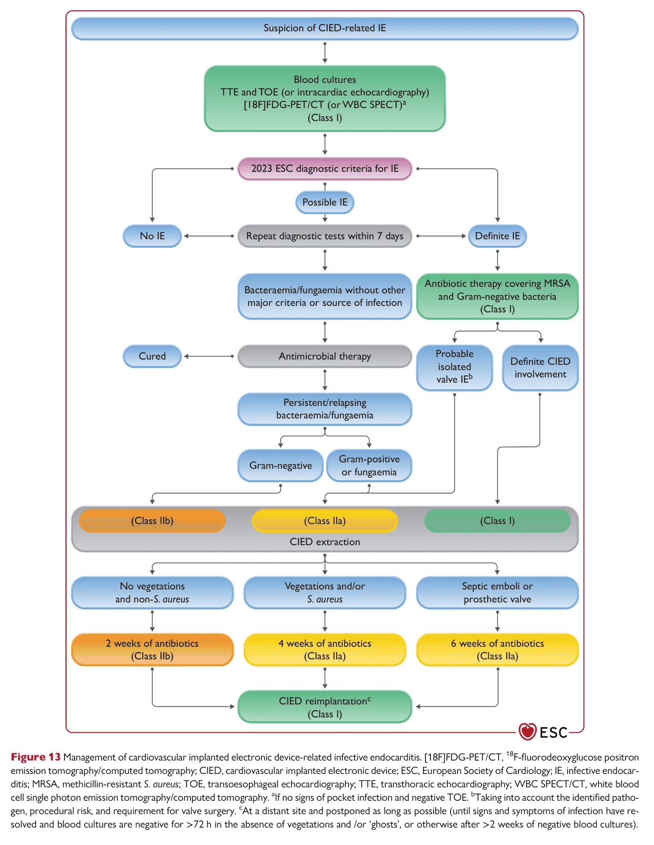 ESC endocarditis2023 — Figure 13
