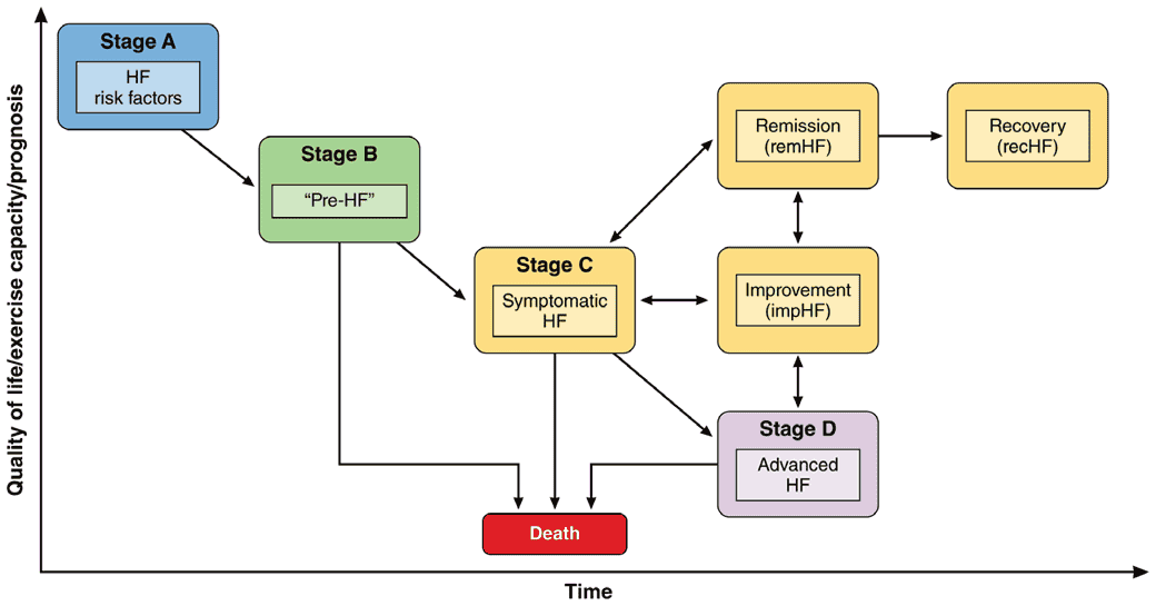 hfdef2026 — Figure：Trajectories of HF