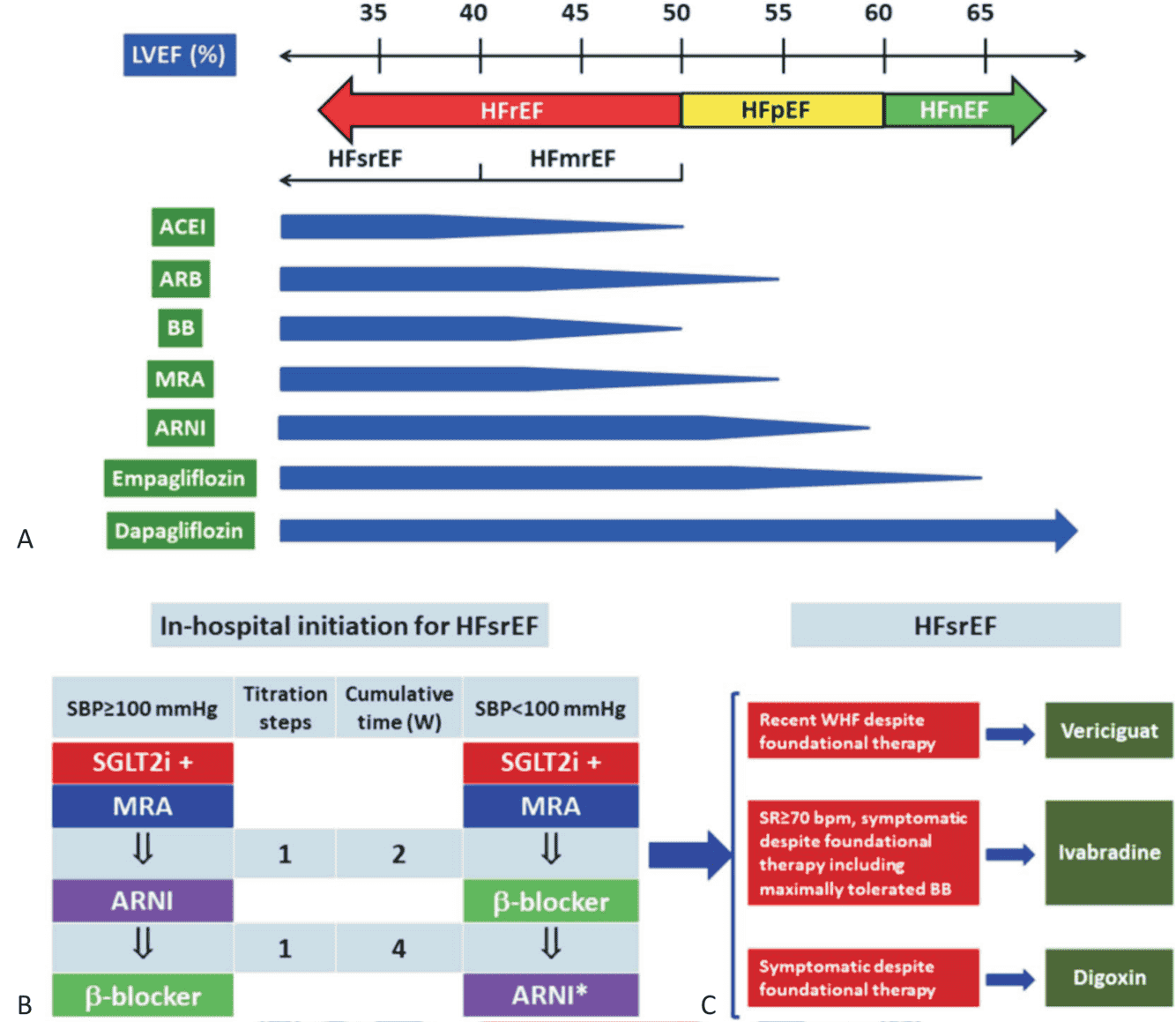 TSOC HF 2023 — Figure 5：HFrEF 治療演算法