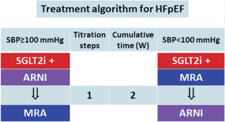 TSOC HF 2023 — Figure 6：HFpEF 治療演算法
