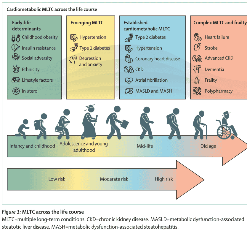 Figure 1 — MLTC across the life course