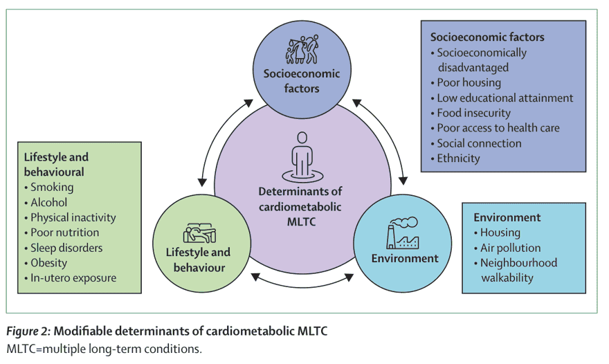 Figure 2 — Modifiable determinants of cardiometabolic MLTC