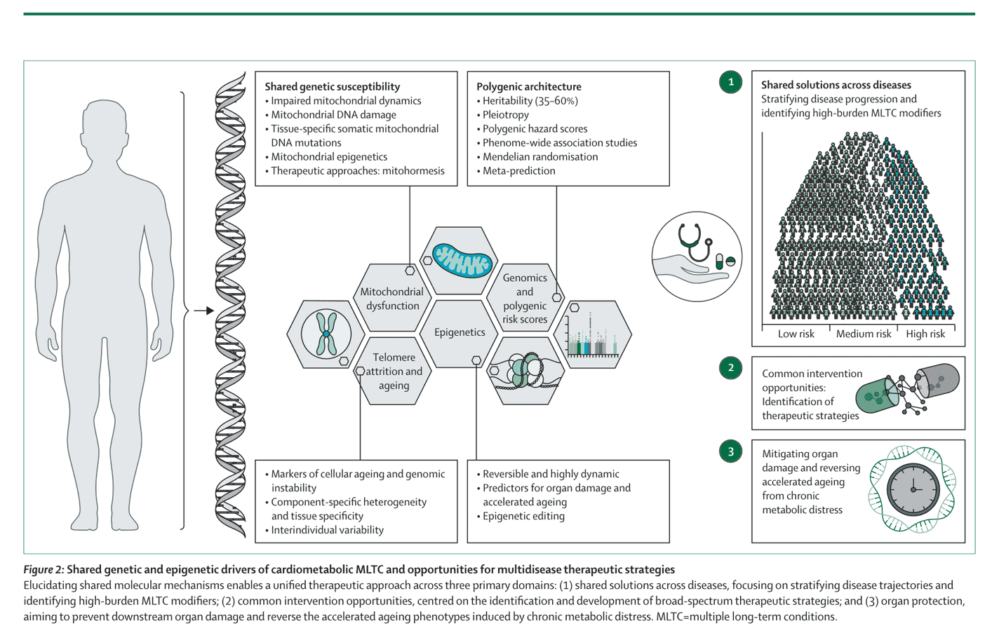 Figure 2 — Shared genetic and epigenetic drivers
