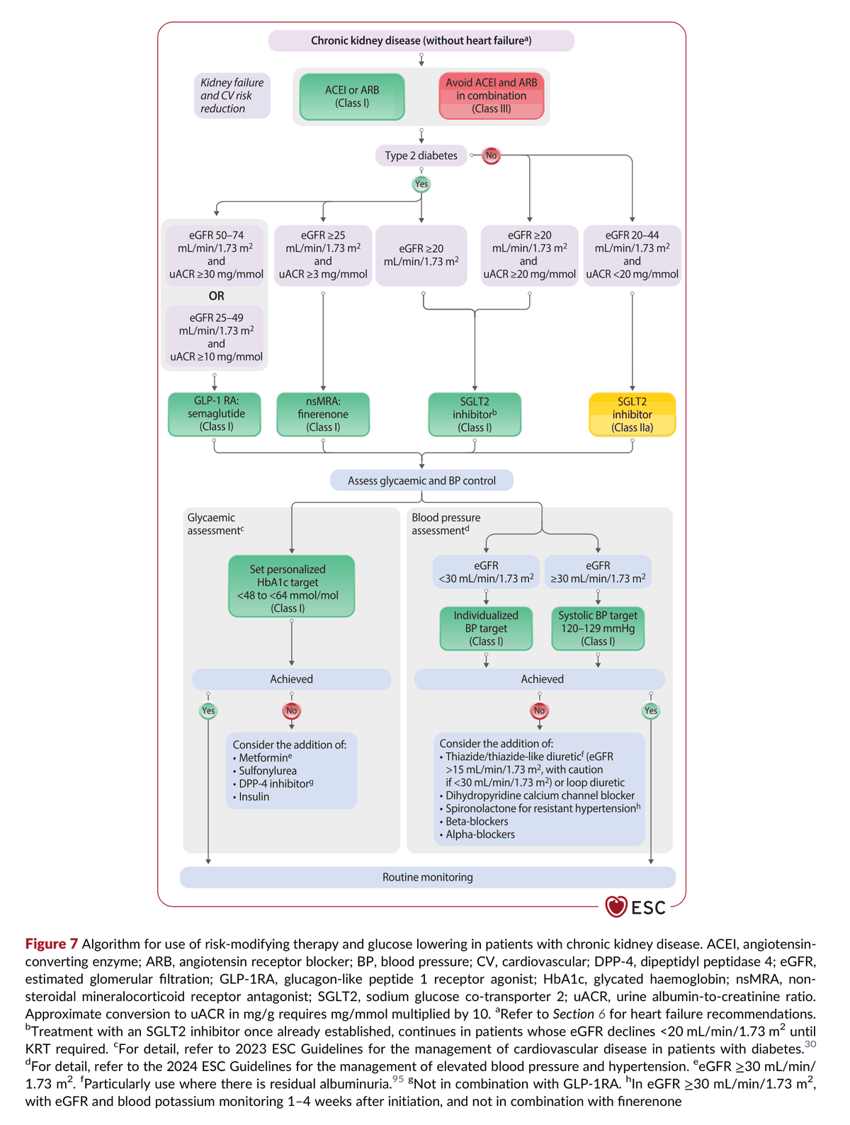 2026 ESC CVD-CKD Guidelines Figure 7 — CKD 病人風險修飾治療與血糖控制的用藥流程