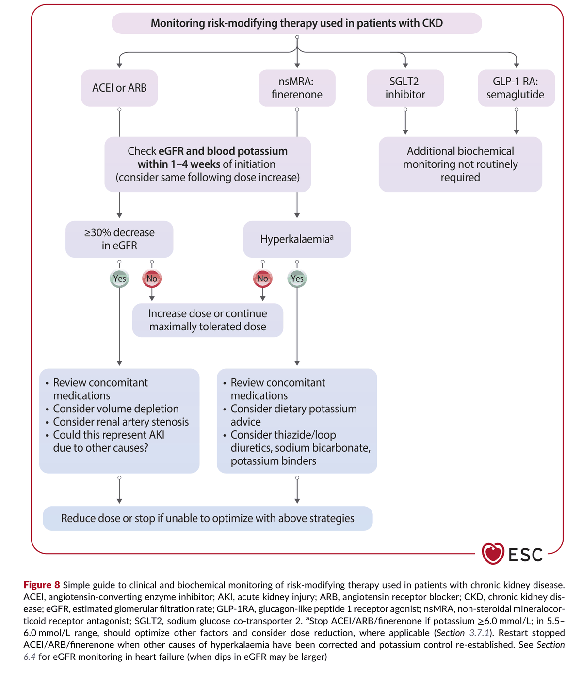 2026 ESC CVD-CKD Guidelines Figure 8 — CKD 風險修飾治療的臨床與生化監測簡易指引