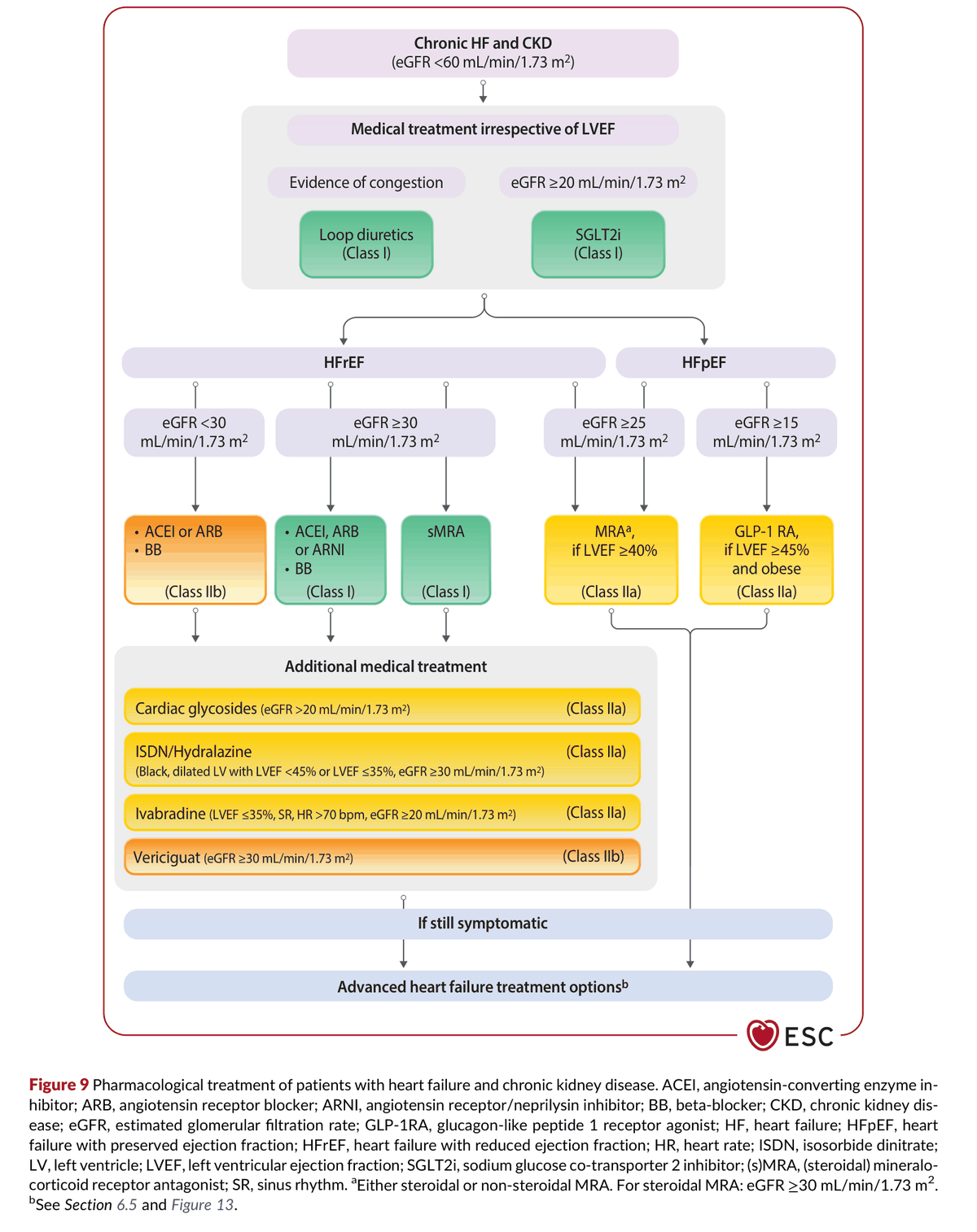 2026 ESC CVD-CKD Guidelines Figure 9 — 心衰竭併慢性腎臟病病人的藥物治療