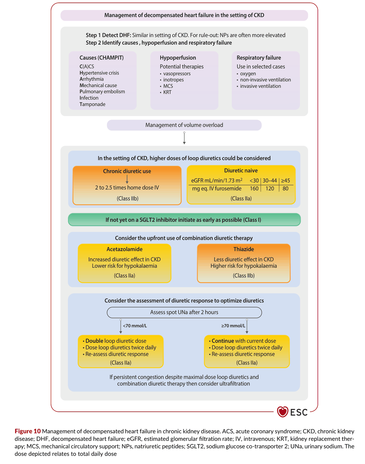 2026 ESC CVD-CKD Guidelines Figure 10 — 慢性腎臟病中失代償心衰竭的處置