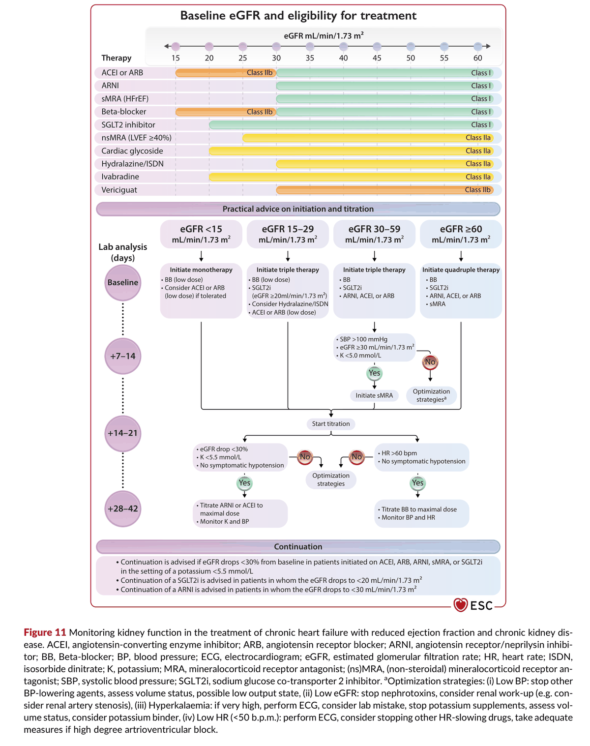 2026 ESC CVD-CKD Guidelines Figure 11 — 慢性 HFrEF 併 CKD 的腎功能監測與治療資格