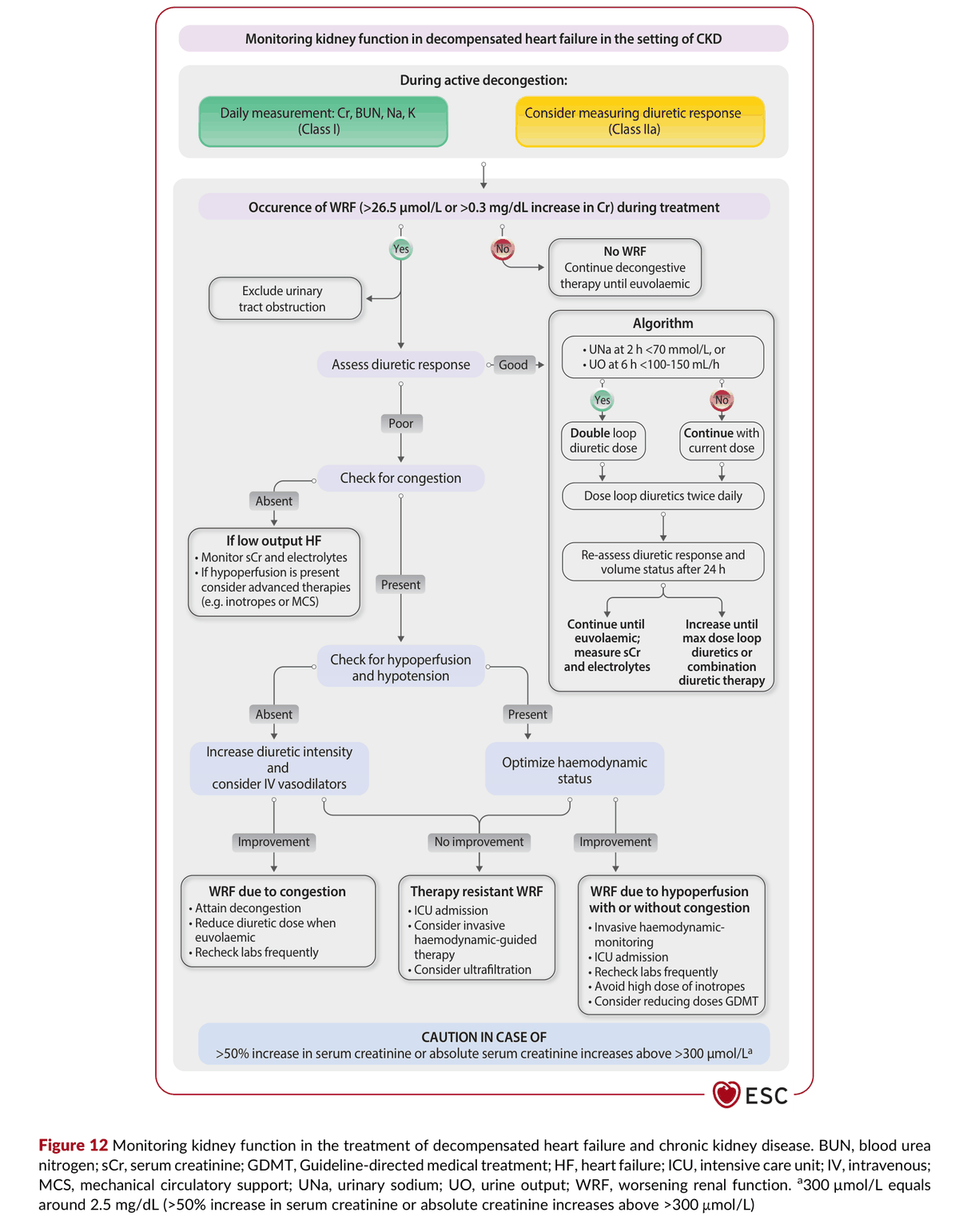 2026 ESC CVD-CKD Guidelines Figure 12 — 失代償心衰竭併慢性腎臟病的腎功能監測