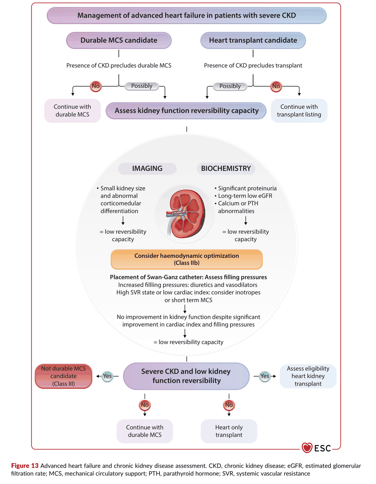 2026 ESC CVD-CKD Guidelines Figure 13 — 進階心衰竭與慢性腎臟病的評估