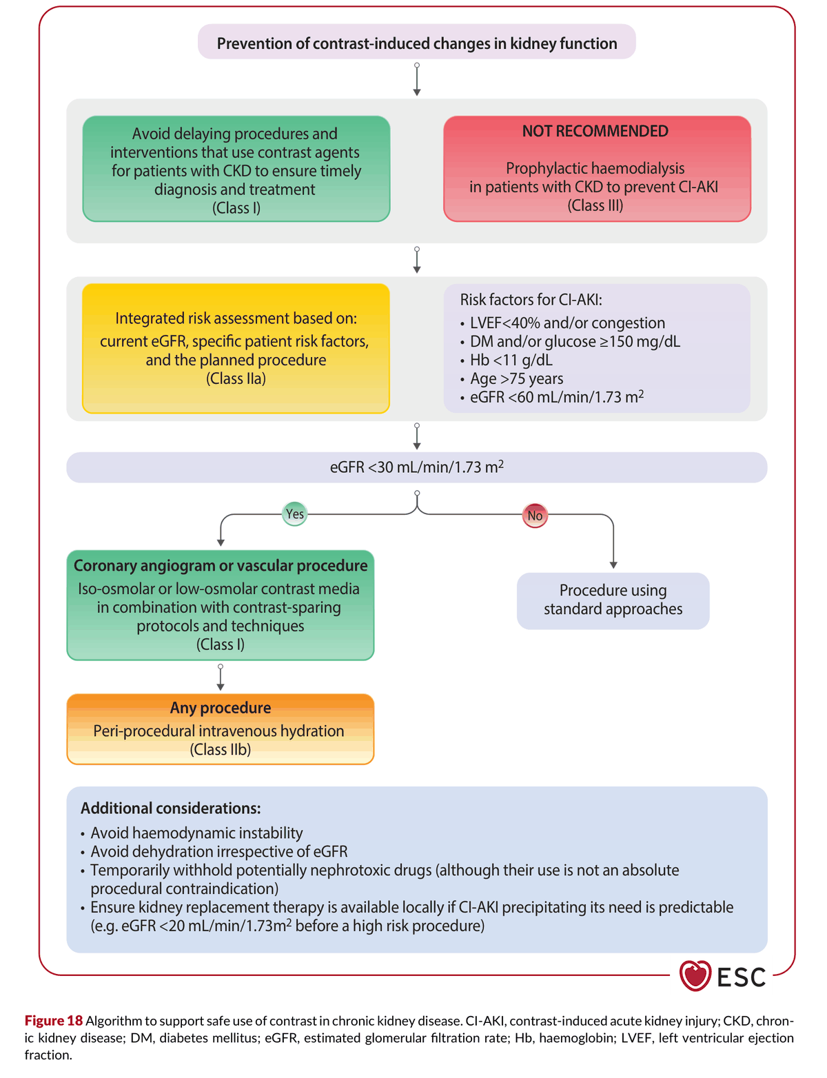 2026 ESC CVD-CKD Guidelines Figure 18 — 慢性腎臟病安全使用顯影劑的流程